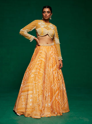 Yellow printed lehenga and blouse