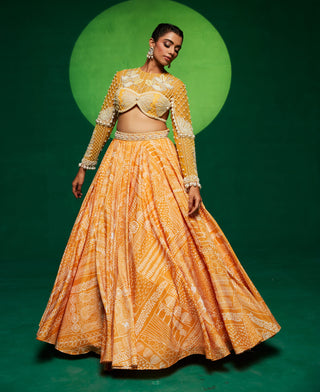 Yellow printed lehenga and blouse