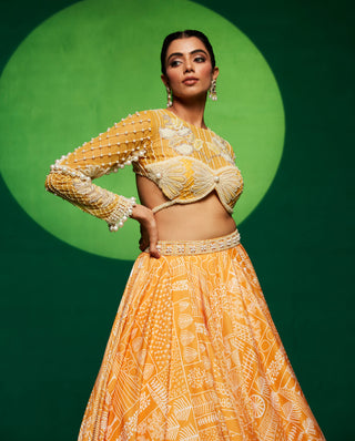 Yellow printed lehenga and blouse