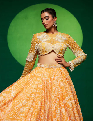 Yellow printed lehenga and blouse