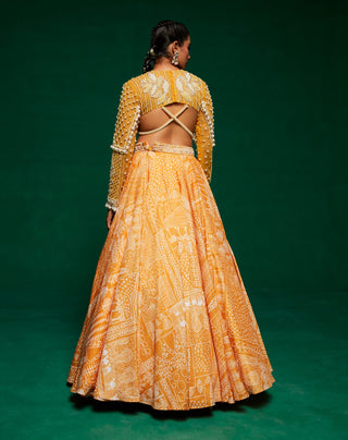 Yellow printed lehenga and blouse