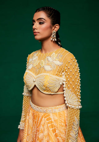 Yellow printed lehenga and blouse