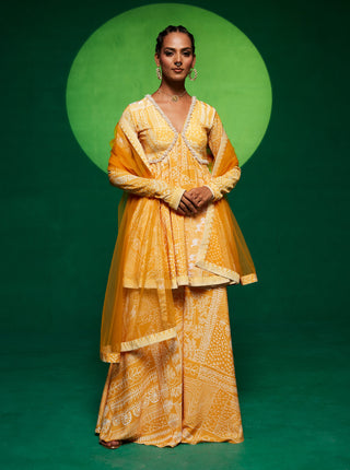 Yellow Embellished Kurta And Palazzo Set by Payal And Zinal available on Indiaspopup.com