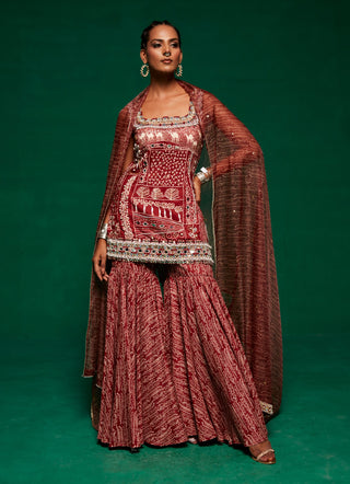 Tan Embroidered Kurta And Sharara Set by Payal And Zinal available on Indiaspopup.com