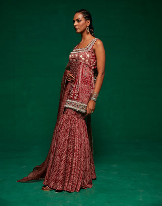 Tan embroidered kurta and sharara set