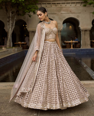 Ash pink circular cutwork lehenga corset set
