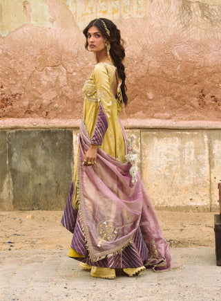 Lemon yellow pure zari tissue jacket and sharara set