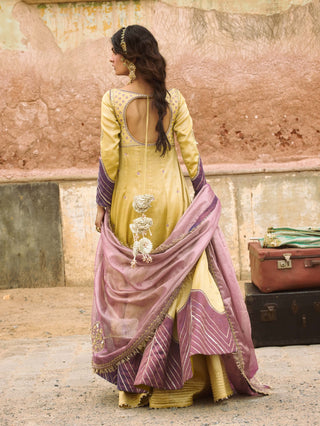 Lemon yellow pure zari tissue jacket and sharara set