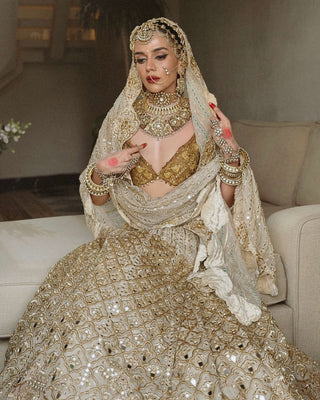 Shahi saaz ivory brown lehenga set
