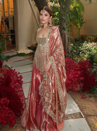 Gulbahar pink mirror sharara set