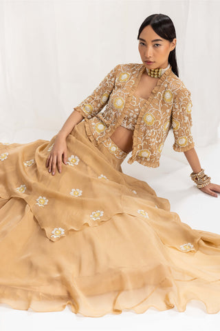 Seema Thukral-Dune Gold Embellished Jacket And Skirt Set-INDIASPOPUP.COM