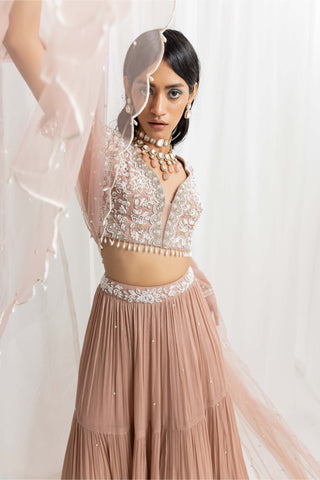 Seema Thukral-Dusty Pink Embellished Lehenga Set-INDIASPOPUP.COM