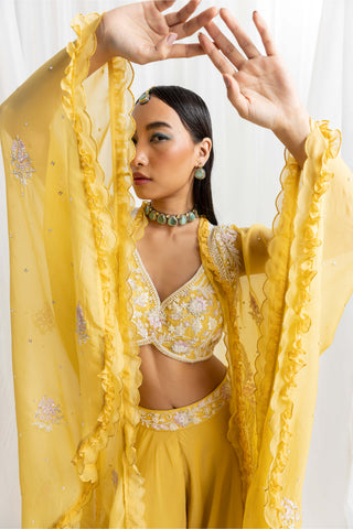 Seema Thukral-Yellow Embellished Cape And Sharara Set-INDIASPOPUP.COM