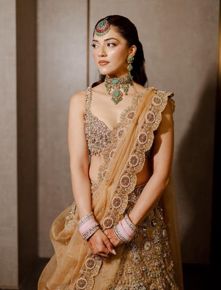 Mrigakshi blush pink lehenga set