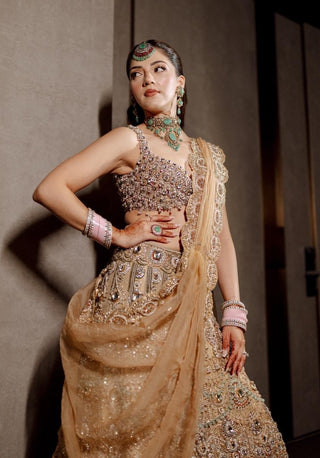 Mrigakshi blush pink lehenga set