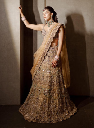 Mrigakshi blush pink lehenga set