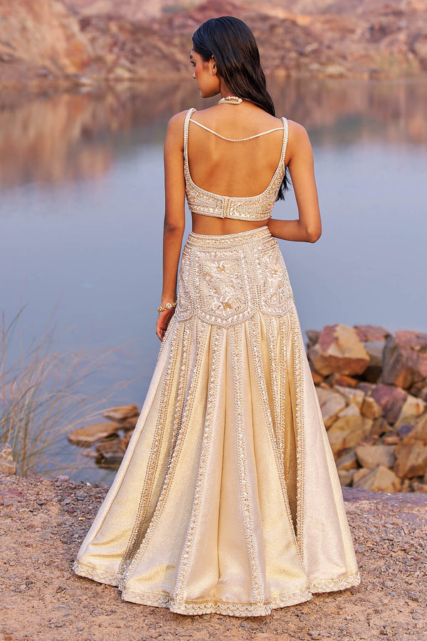 Gold mermaid embellished lehenga set