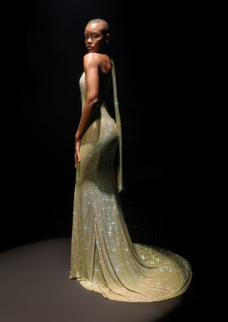 Mint green elara gown with stole