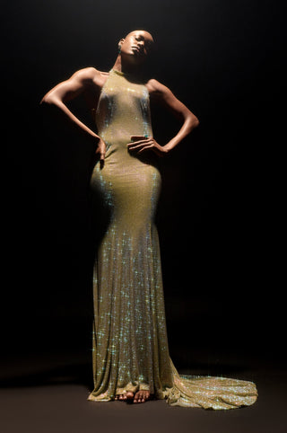 Mint green elara gown with stole