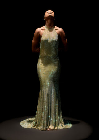 Mint green elara gown with stole