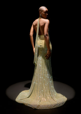 Mint green elara gown with stole