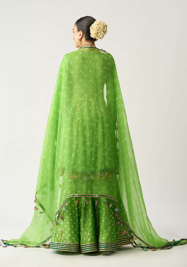 Banni bandhani angrakha sharara set
