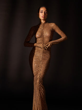 Wild cat brown gown