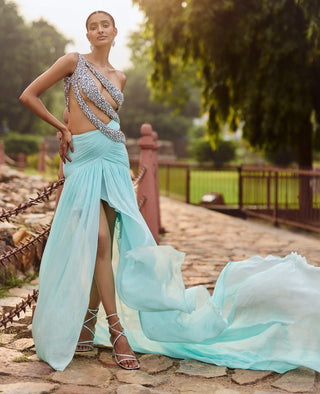 Aaravi blue dress with trail