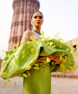 Aranya green volume gown