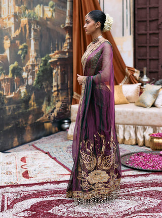 Purple dhoop chaon padmanidhi sari and blouse