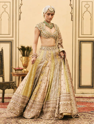 Gulabi pastel stone brocade lehenga set