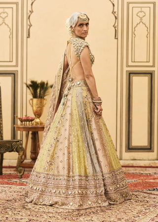Gulabi pastel stone brocade lehenga set