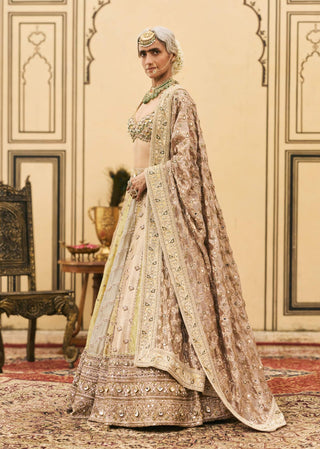 Gulabi pastel stone brocade lehenga set