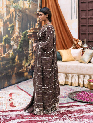 Brown taralika sari and corset