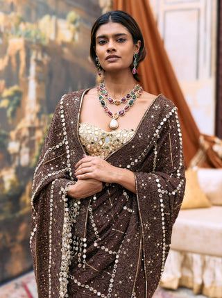 Brown taralika sari and corset