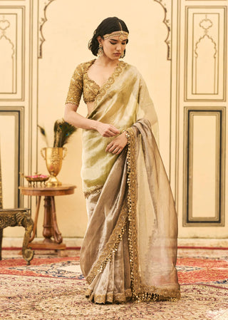 Harita color block tissue sari set
