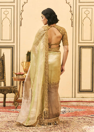 Harita color block tissue sari set