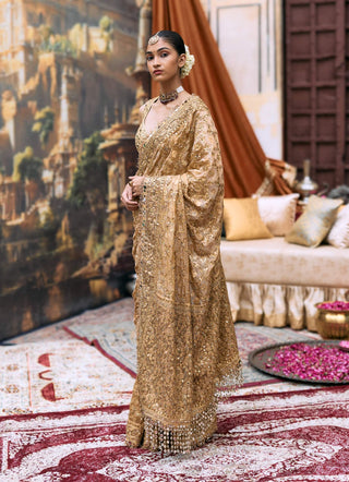 Yellow svarnaalata sari and mirror blouse