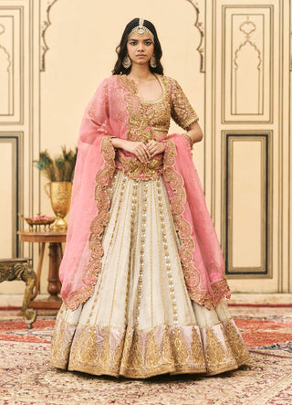 Silver pink tissue shimmer lehenga set