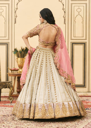 Silver pink tissue shimmer lehenga set