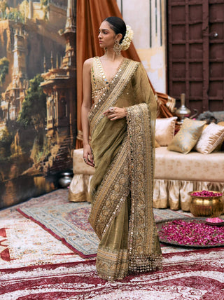 Green tarangini sari and sleeveless mirror blouse