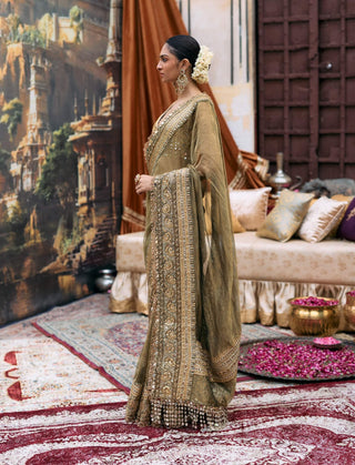 Green tarangini sari and sleeveless mirror blouse