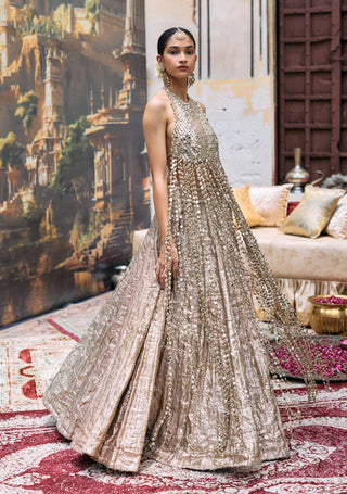 Silver mridula lehenga set