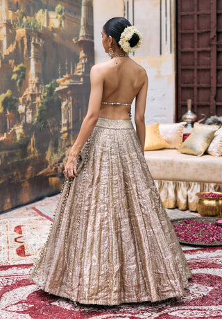 Silver mridula lehenga set