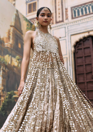 Silver mridula lehenga set