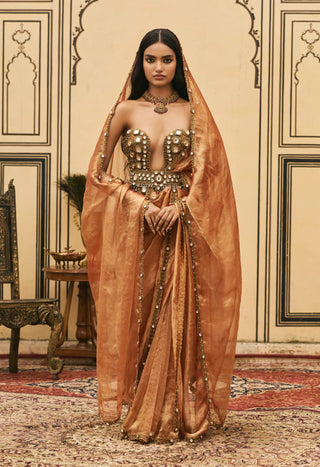 Tamra rust silk tissue sari set