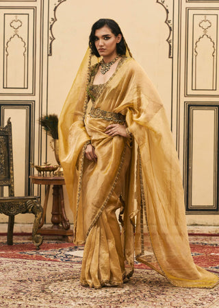 Peetambar mustard tissue sari set
