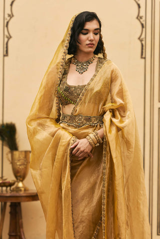 Peetambar mustard tissue sari set