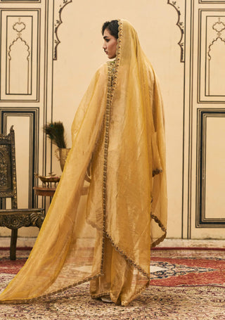 Peetambar mustard tissue sari set