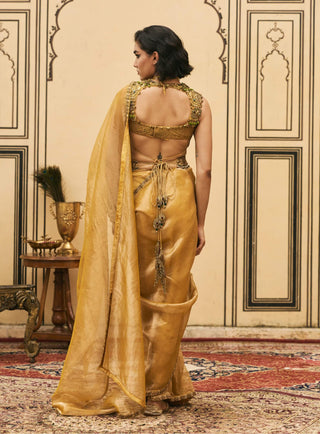 Peetambar mustard tissue sari set